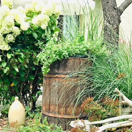 Appartement Spreewaldapartments-kossatz Lübben